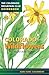 Colorado Wildflowers: Monta...