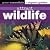 Attract Wildlife: Green Ess...