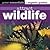 Attract Wildlife: Green Essentials - Organic Guides