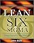 Lean Six Sigma Using SigmaXL and Minitab