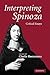 Interpreting Spinoza: Critical Essays