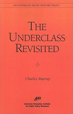 The Underclass Revisited (Aei Studies in Social Welfare Policy)