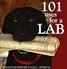 101 Uses for a Lab