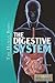 The Digestive System (The Human Body)