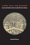 Wealth, Waste, and Alienation: Growth and Decline in the Connellsville Coke Industry (Regional)