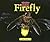 Fireflies (BUGS)