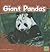 Giant Pandas (First Facts)