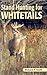 Stand Hunting for Whitetails