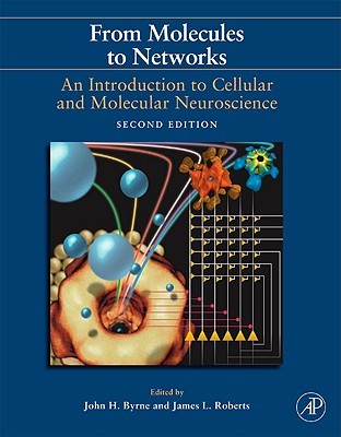 From Molecules to Networks from Molecules to Networks: An Introduction to Cellular and Molecular Neuroscience an Introduction to Cellular and Molecular Neuroscience (Hardcover)