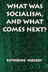 What Was Socialism, and What Comes Next? (Princeton Studies in Culture/Power/History)