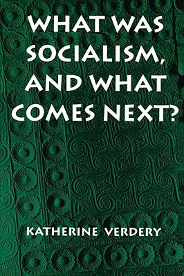 What Was Socialism, and What Comes Next? (Princeton Studies in Culture/Power/History)