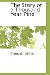 The Story of a Thousand-year Pine The Story of a Thousand-year Pine