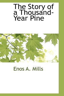 The Story of a Thousand-year Pine (Paperback)