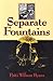 Separate Fountains by Patti Wilson Byars Separate Fountains by Patti Wilson Byars