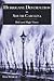 Hurricane Destruction in South Carolina by Tom Rubillo