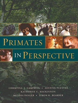 Primates in Perspective (Paperback)
