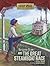 Benjamin Brown and the Great Steamboat Race by Shirley Jordan