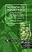 Nothing Of Importance. A Record Of Eight Months At The Front ... by John Bernard Pye Adams