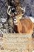 My Most Memorable Whitetail Hunts by Terry F. Townsend