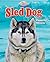 Sled Dog by Stephen Person