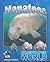 Manatees (Underwater World)