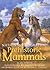 Prehistoric Mammals