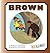 Brown (Colors Set 2)