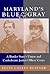 Maryland's Blue and Gray: A Border State's Union and Confederate Junior Officer Corps