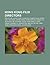 Hong Kong Film Directors: Bruce Lee, Jackie Chan, John Woo, Sammo Hung, Ringo Lam, Tsui Hark, Wayne Wang, Wong Kar-Wai, Daniel Wu, Nicholas Tse