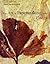 The Art of Papermaking with Plants