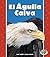 El Águila Calva (the Bald Eagle)