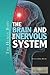 The Brain and the Nervous System (The Human Body)
