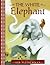 The White Elephant