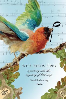 Why Birds Sing: A Journey Into the Mystery of Bird Song (Paperback)