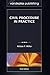 Civil Procedure in Practice