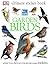 Garden Birds