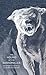The Hound of the Baskervilles