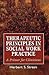 Therapeutic Principles in Social Work Practice: A Primer for Clinicians (Master Work) (The Master Work)