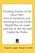Thrilling Stories of the Great War: Heroic Incidents and Startling Events of the World War on Land and Sea in the Air and Under the Water
