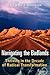 Navigating the Badlands: Thriving in the Decade of Radical Transformation