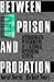Between Prison and Probation: Intermediate Punishments in a Rational Sentencing System