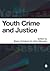 Youth Crime and Justice