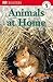 DK Readers L1: Animals at H...