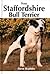 Your Staffordshire Bull Terrier