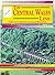 The Central Wales Line (Past & Present Companion)