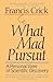 What Mad Pursuit: A Persona...