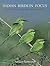 Indian Birds in Focus
