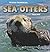 Sea Otters (Marine Mammals)
