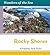 Rocky Shores (Wonders of the Sea)