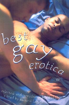 Best Gay Erotica 2002 (Paperback)